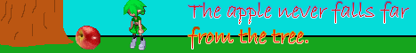 banner