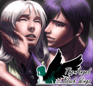 The Angel with Black Wings