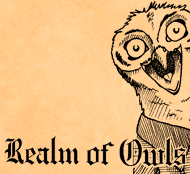 Realm of Owls
