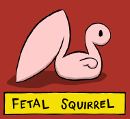 Fetal Squirrel